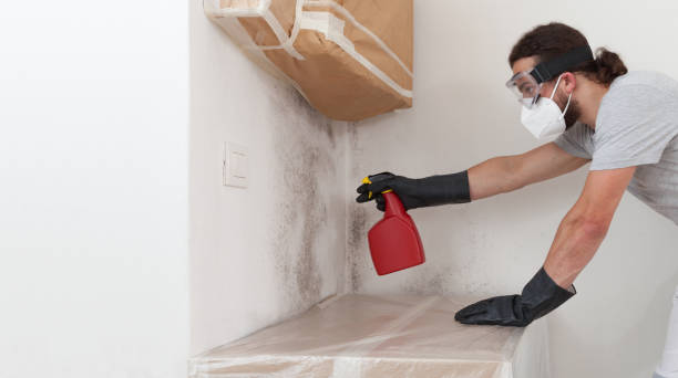 Professional Attic Mold Remediation technician working in Weston, NJ