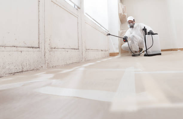 24/7 Emergency Attic Mold Remediation experts in Weston, NJ