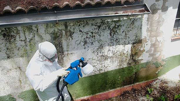 Top rated local Attic Mold Remediation specialists in Weston, NJ